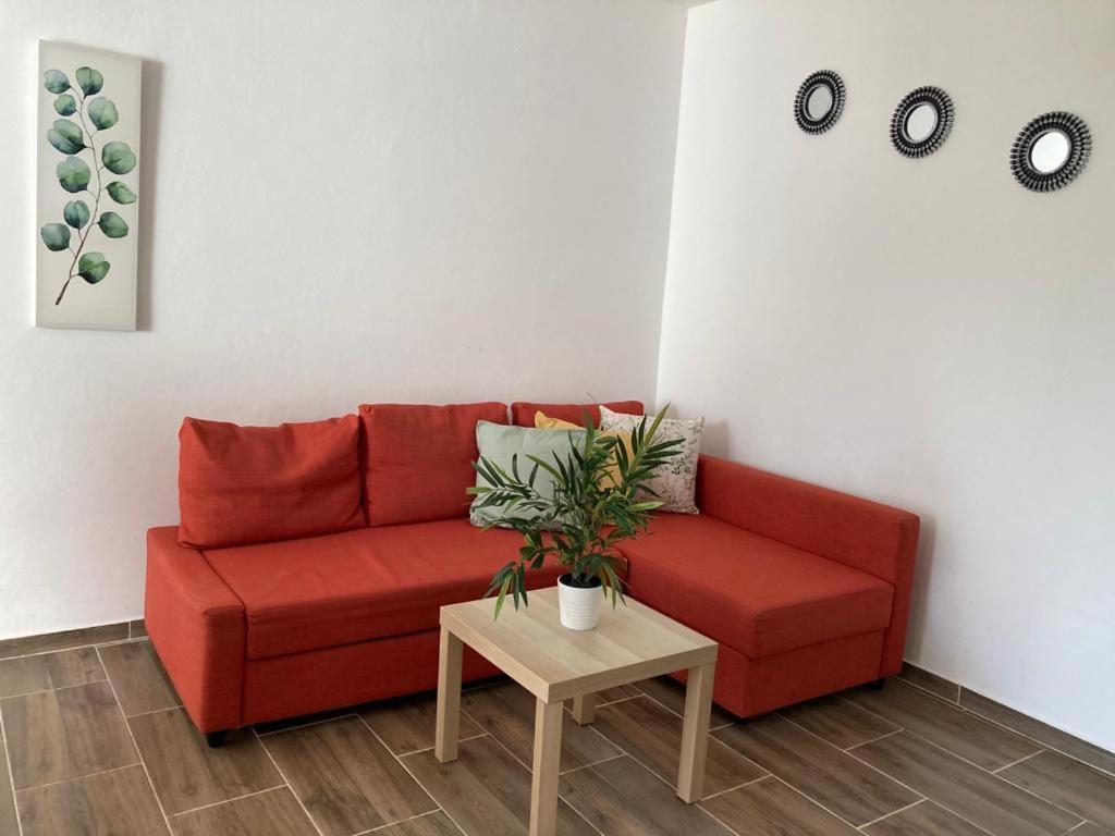 باياهيبي Apartamentos Coconuts المظهر الخارجي الصورة
